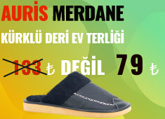 Auris Merdane Deri