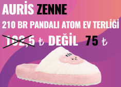 Auris Zenne 210 BR Pandalı