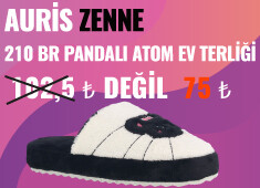 Auris Zenne 210 BR Pandalı