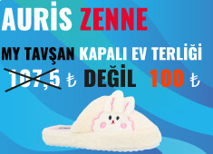 Auris zenne MY tavşan