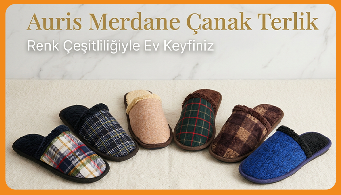 <h1><font color=RED>AURİS</font color></h1> 